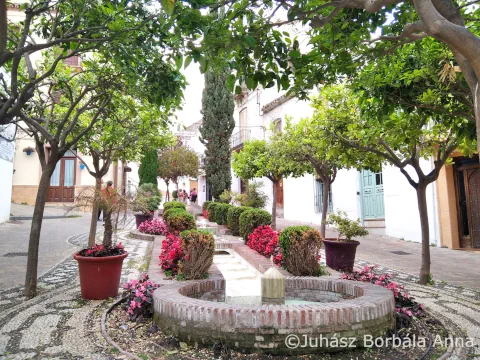 Estepona szokokutas ter Estepona szokokutas ter